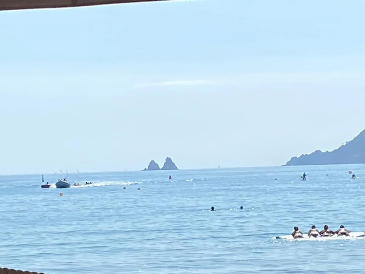 Appartement French Riviera, colline de Tamaris, Aprt tt Confort, Luxe, Calme, Fantastique Vue à La Seyne-sur-Mer